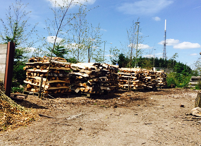 Wood