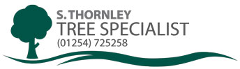 Tree Specialists